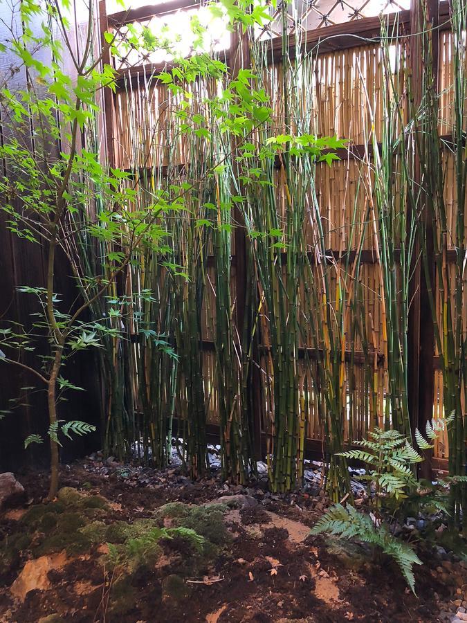 色絵古都 Iroekoto Kjóto Exteriér fotografie
